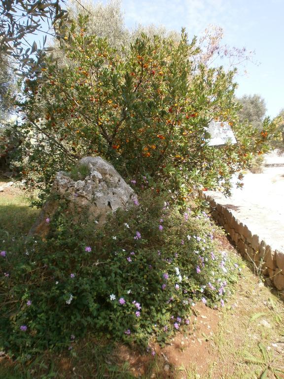 Trullo Villa Giuliana Con Giardino Posizione Panoramica Free Wifi オストゥーニ エクステリア 写真