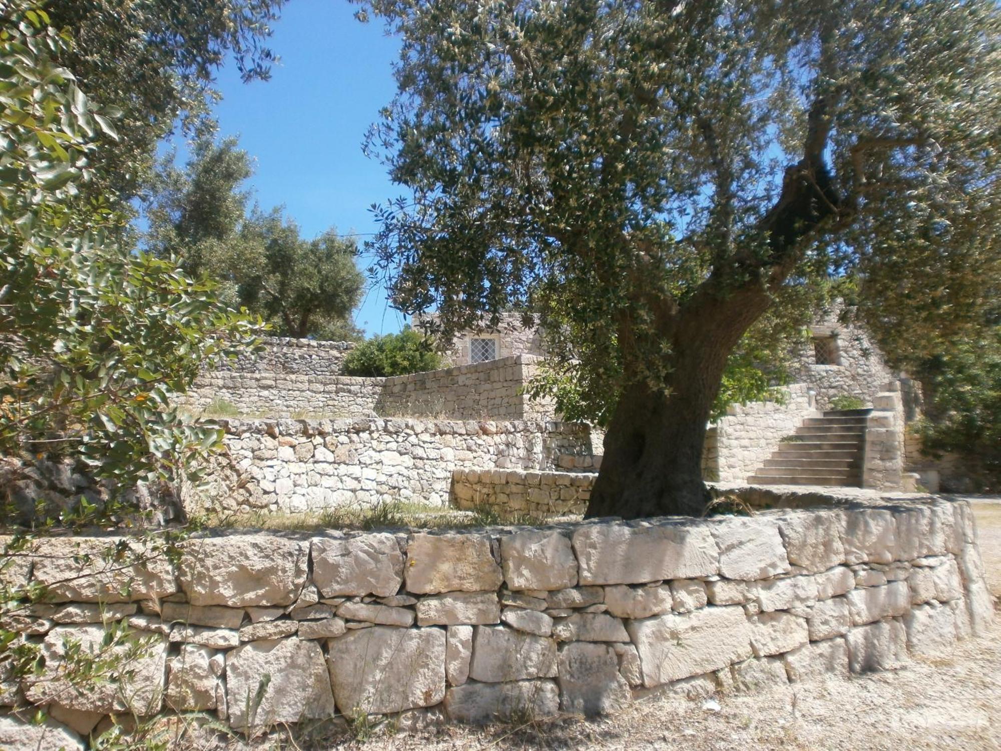Trullo Villa Giuliana Con Giardino Posizione Panoramica Free Wifi オストゥーニ エクステリア 写真