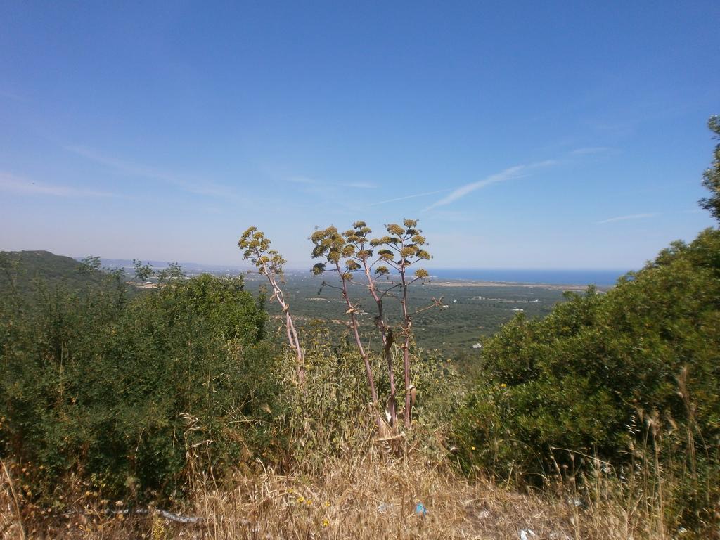Trullo Villa Giuliana Con Giardino Posizione Panoramica Free Wifi オストゥーニ 部屋 写真
