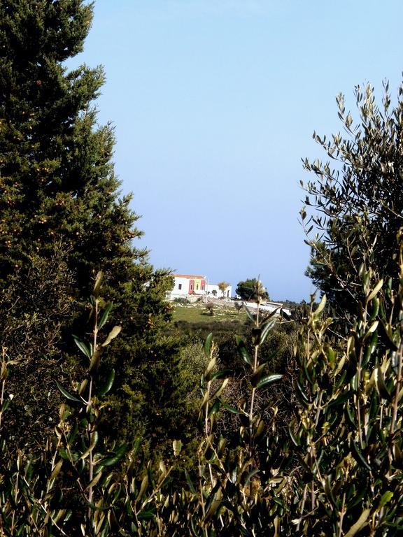 Trullo Villa Giuliana Con Giardino Posizione Panoramica Free Wifi オストゥーニ 部屋 写真